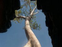 panel7 3a-enhanced 1920x2560 U 100 Original ratio : Web Sharp Pro: Original ratio