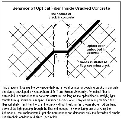 Relationship Between Measured Crack Size and Light Signal Loss in Optical Fiber