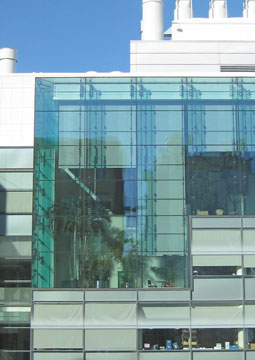 Brain & Cognitive Sciences Complex
