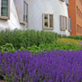 Stata Flowerbeds