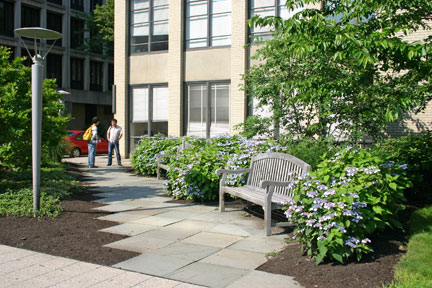 Building 31 Corner Garden