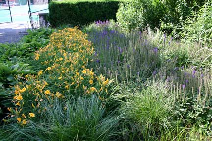 Butterfly Garden on Triangular  Butterfly  Garden