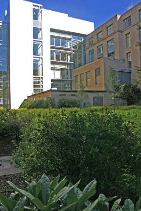 PDSI Courtyard