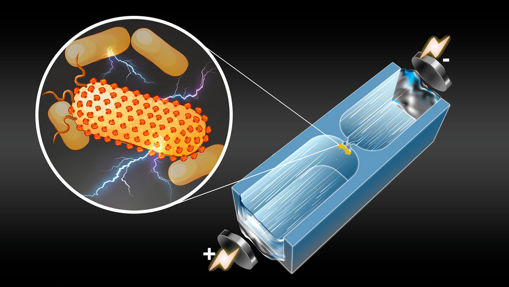 an artist's rendering of a microfluidic device