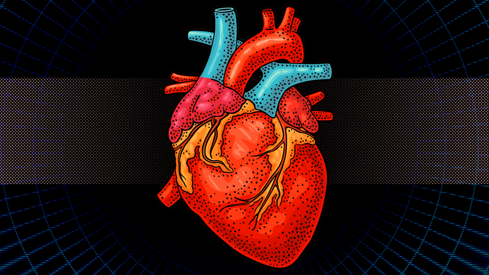 An illustration of a realistic beating heart