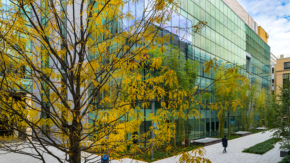 A walkway lined with fall trees in front of a glass building on MIT's campus
