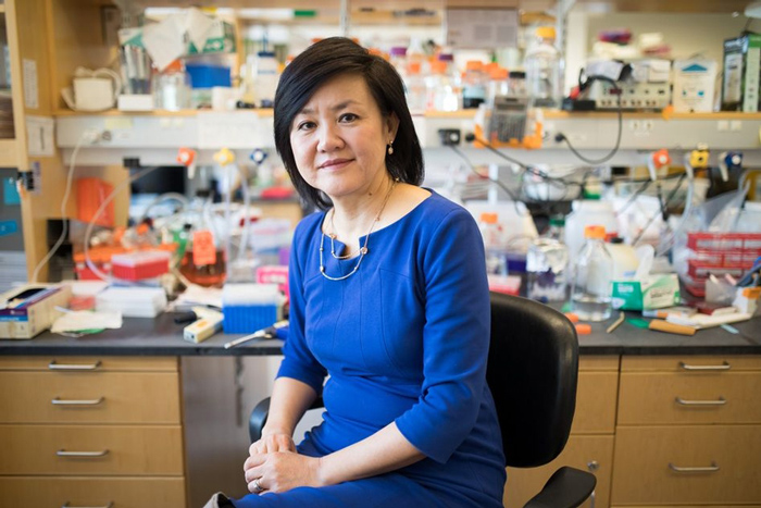 Photo of Li-Huei Tsai sitting on chair in lab