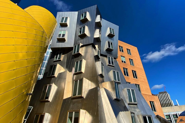 a photo of the Stata Building at MIT designed by Frank Gehry