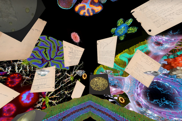 The video game "A Lab of One’s Own" shows pages from notebooks and microscopic imagery 