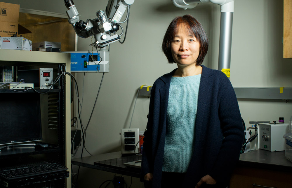 Fan Wang standing in her lab