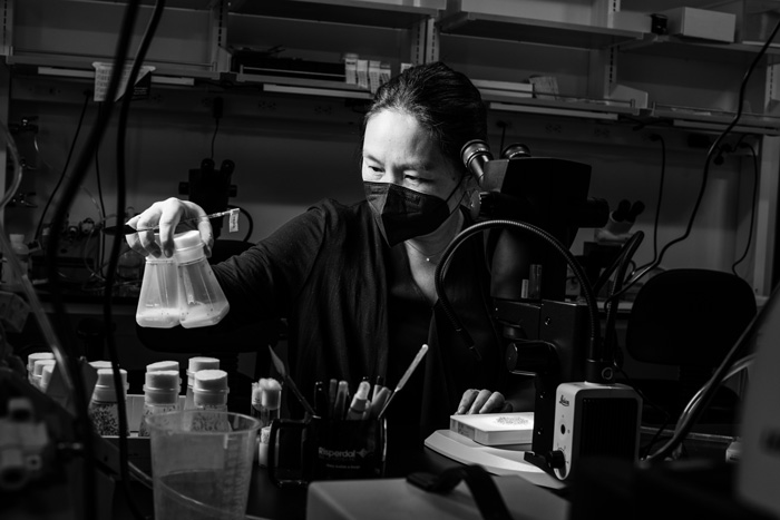 a black and white photo of Yukiko Yamashita working in her lab