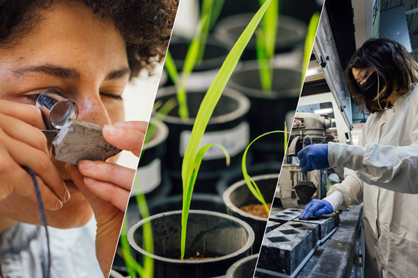 3 photos show a person inspecting a rocky object; green growing plants in the lab; and a person working in the lab