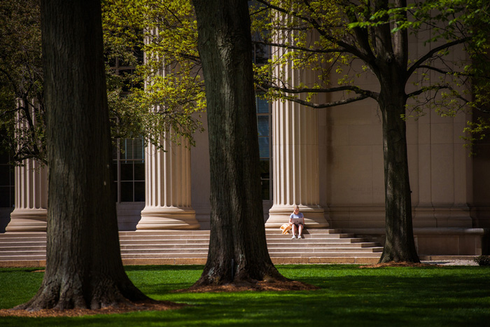 Photo emphasizing vertical tree trunks and Killian Court columns