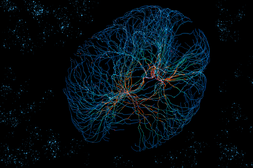 Spotlight Neurons v. nodes MIT Massachusetts Institute of Technology