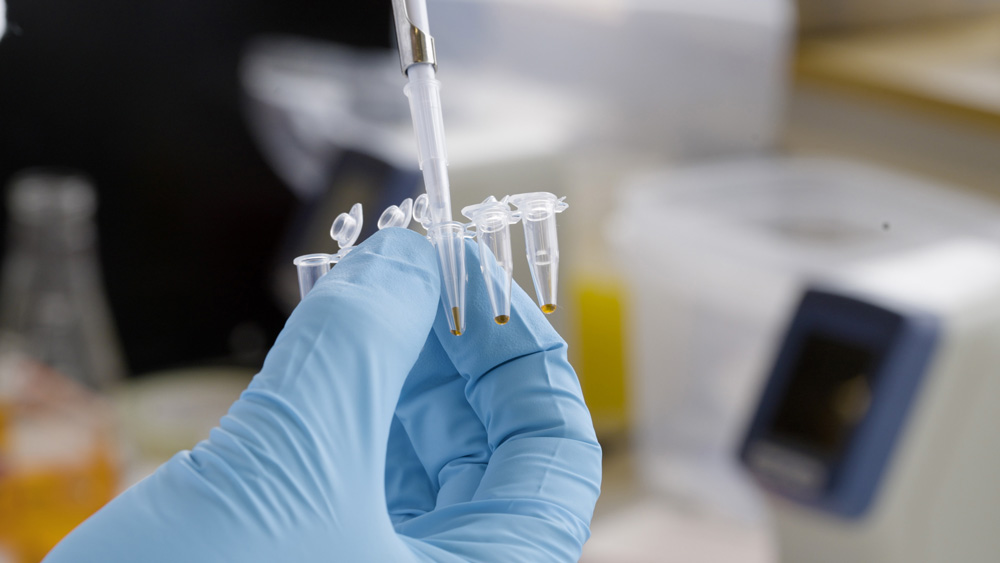 A blue-gloved hand holds a plastic tray, while a pipette adds brown liquid to each container.