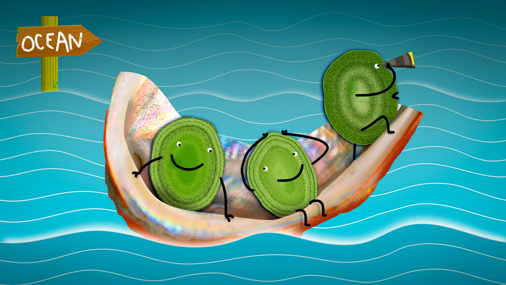 3 cartoony green microbes ride a raft made of shell on a blue ocean. One microbe has a telescope to look ahead. A sign in the water says they are heading towards the “Ocean.”