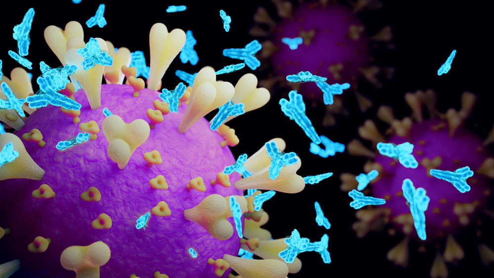 Rendering shows a purple spherical coronavirus on the left side. Light blue antibodies, shaped like a Y, surround the coronavirus. 