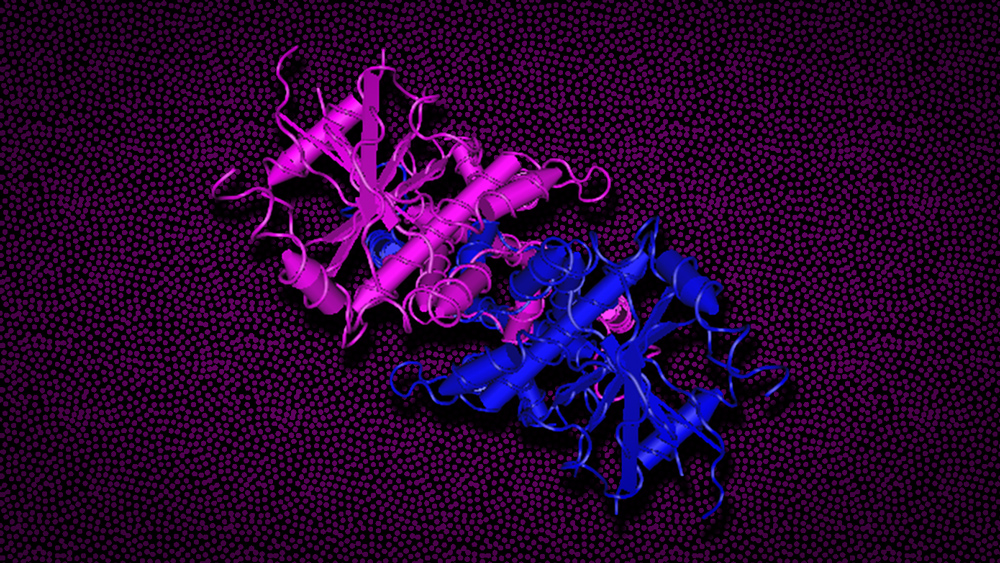 Against a decorative background is a rendering of a STING protein made of curling strings and rods. It is pink on the left and blue on the right, and the parts are intertwined.