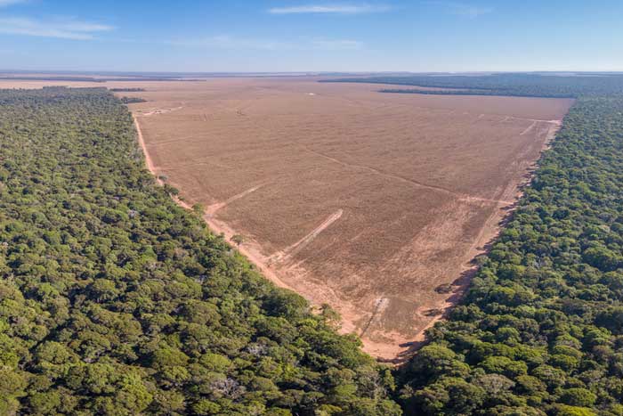 Aerial view of a forest, with a large wedge of deforested, brown dirt.