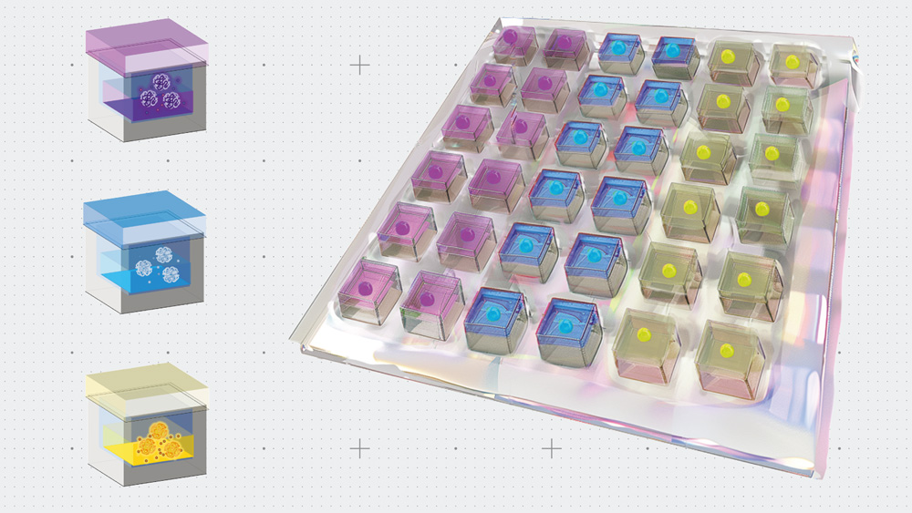 Rending of grid-like patch with colorful liquid reservoirs 