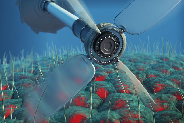 New technique distinguishes active from passive fluctuations inside cells