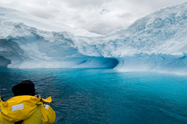 MIT's science writing graduates flourish in journalism