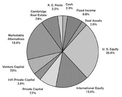 Figure 1. Pool A Asset Allocation on June 30, 2004
