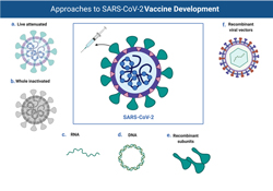 Approaches to SARS-CoV-2 Vaccine Development