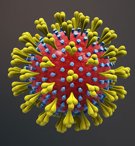 3D Animation of Corona Virus - Anuel AA