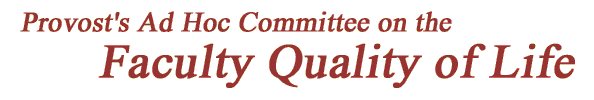 Provost's Ad Hoc Committee on the Faculty Quality of Life