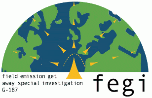 FEGI Logo