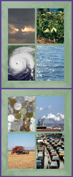 brochure cover image