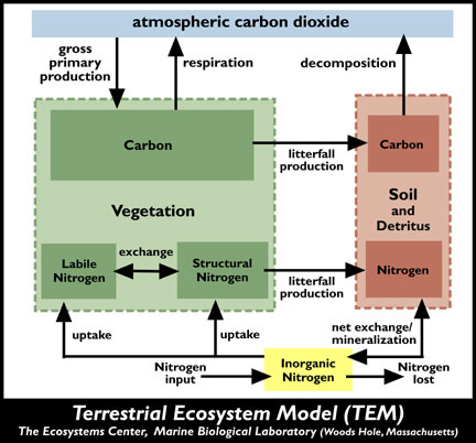 Terrestrial Ecosystem