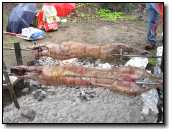[DSCN1605.JPG]