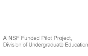 An NSF Funded Pilot Project. Division of Undergraduate Education.