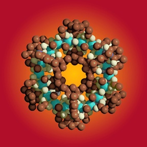 Self assembled molecule modeled by computer