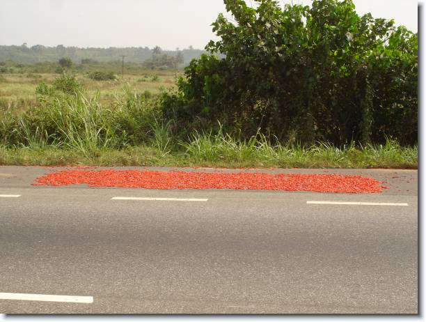 You have reached the last slide