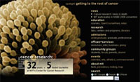 cancer research