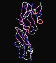 Counting cells
