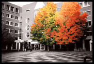 Building E25 and MIT Medical