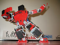 Robo-One: humanoid robotics exhibition