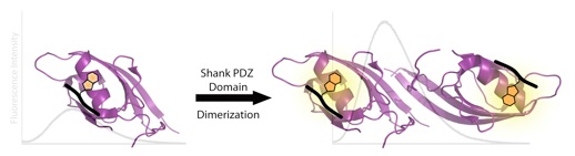 2016 “A Modular Approach to Phosphoglycosyl Transferase Inhibitors