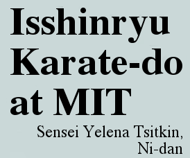 Isshinryu Karate-do at MIT