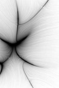 [Black and white image of converging lines]