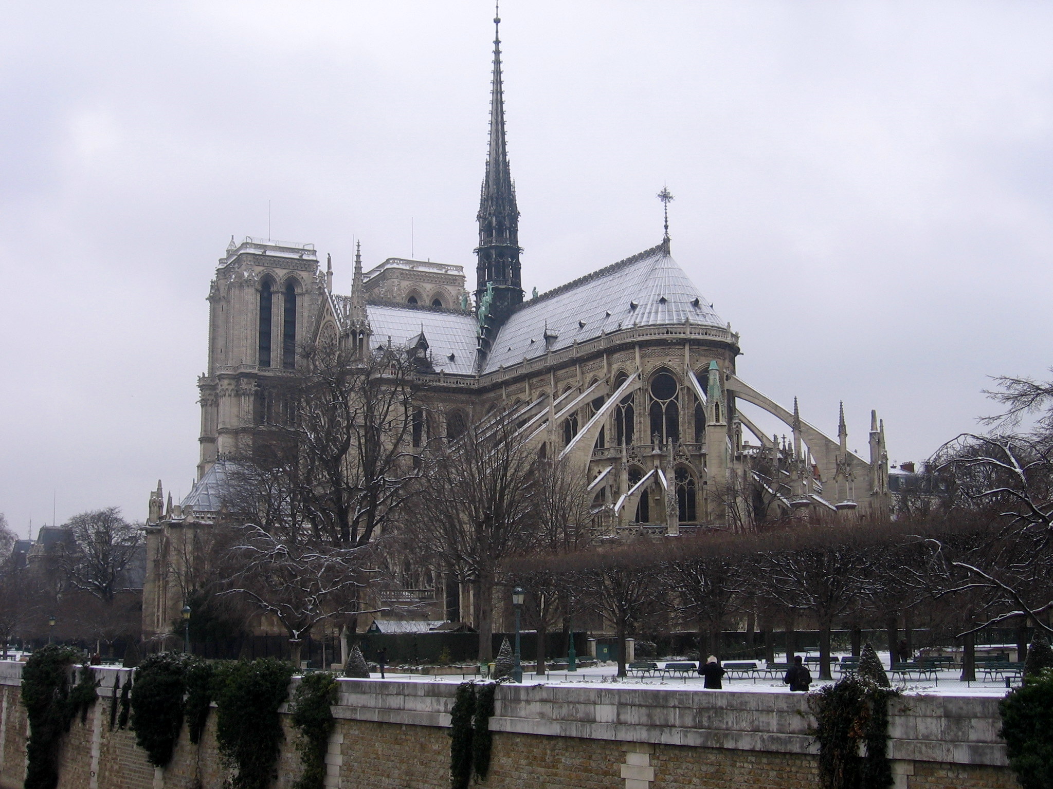 Notre Dame view
