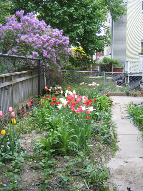 IMG_0944.JPG