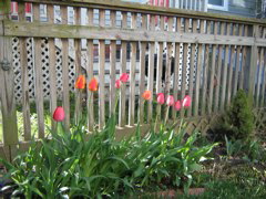 IMG_0920.JPG