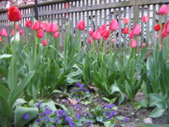 IMG_0923.JPG