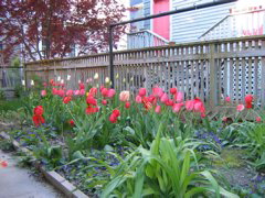 IMG_0941.JPG