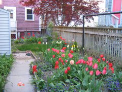 IMG_0943.JPG